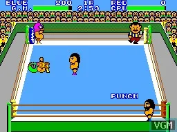 Pro Wrestling (USA, Europe, Brazil) (En) — Sega Master System — скриншот