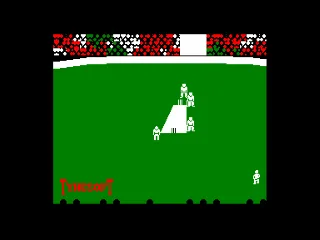 Test Match — Amstrad CPC — скриншот