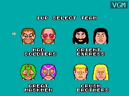 Pro Wrestling (USA, Europe, Brazil) (En) — Sega Master System — скриншот