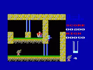 Pinaut — Amstrad CPC — скриншот