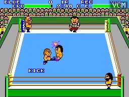 Pro Wrestling (USA, Europe, Brazil) (En) — Sega Master System — скриншот