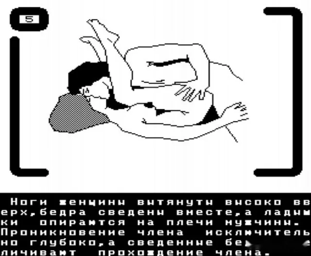 22 LOVE (ЛЮБОВНЫЕ ПОЗИЦИИ) — БК-0010 — скриншот