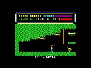 Paladin — Amstrad CPC — скриншот