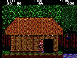Danan - The Jungle Fighter (Europe, Brazil) (En) — Sega Master System — скриншот